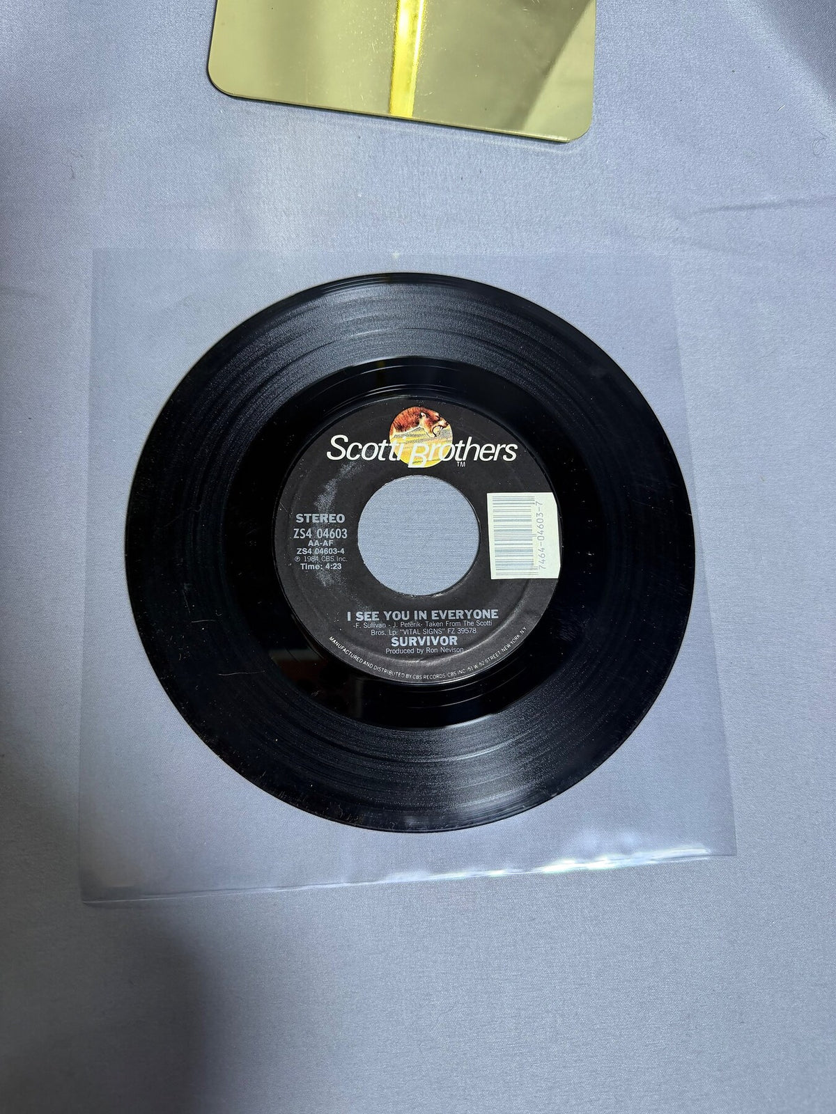 Vintage Survivor 45 RPM Vinyl Single I Can't Hold Back / I See You In Everyone photo 1