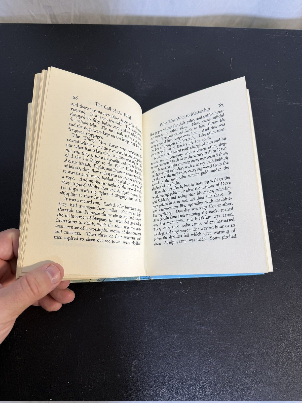 Vintage The Call of the Wild by Jack London - Grosset & Dunlap Hardcover - Wormhole Thrift