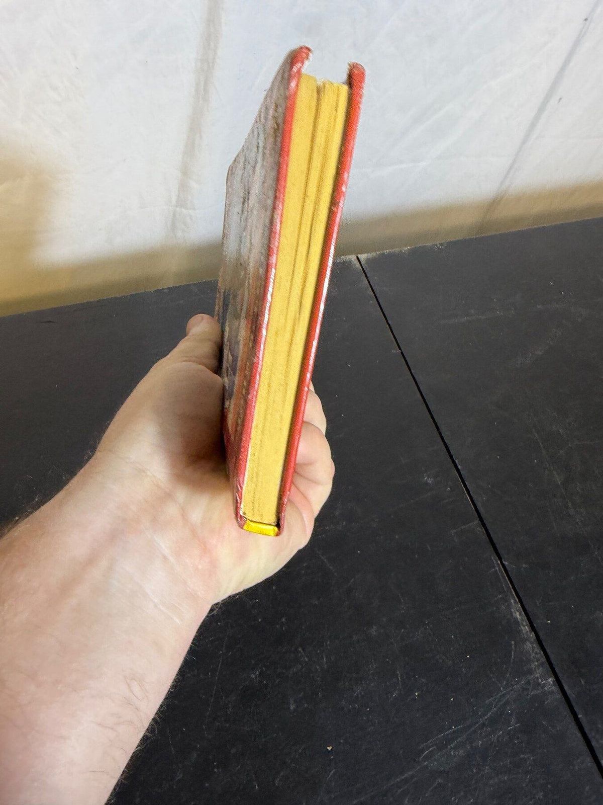 Vintage Hank the Cowdog #33: The Case of the Measled Cowboy Book - Wormhole Thrift