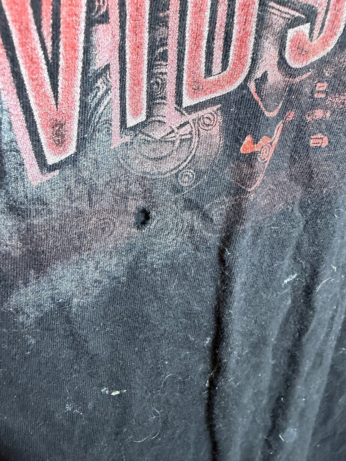 Harley-Davidson Biker Bull Barracuda Skull Graphic T-Shirt Men's XL - Wormhole Thrift