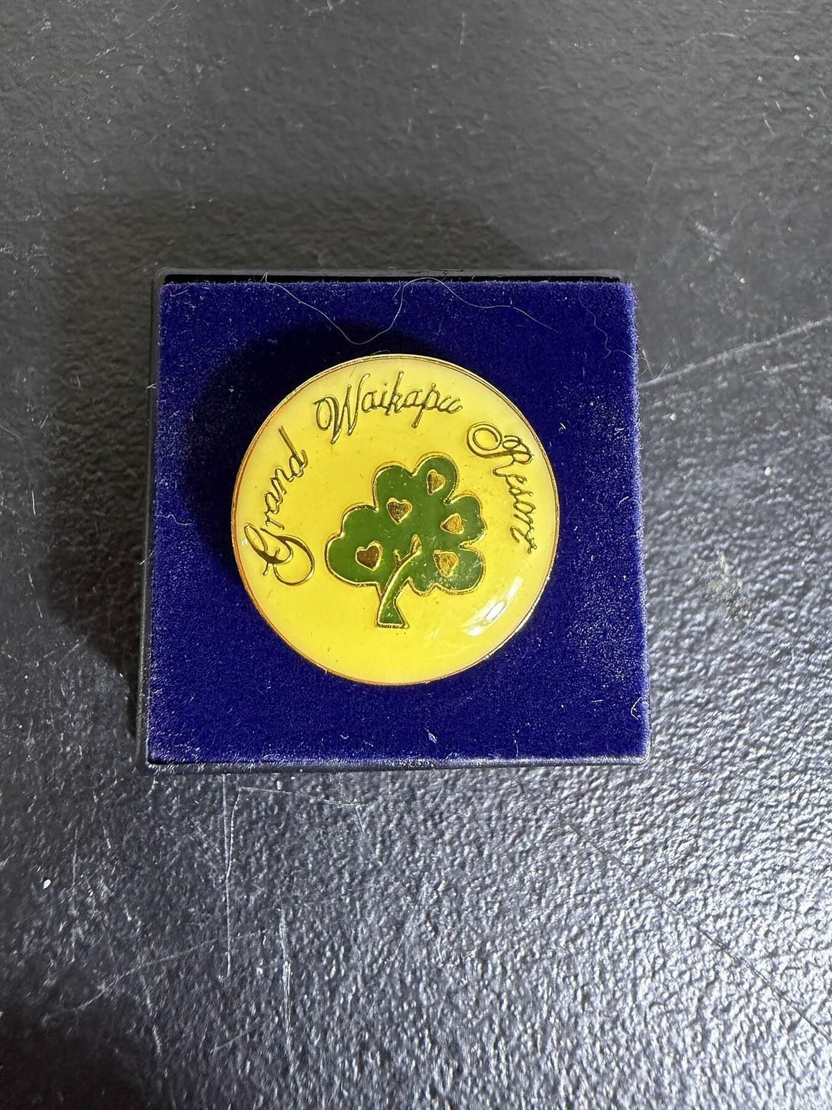 Grand Waikapu Resort Golf Ball Marker w/ Velvet Case - Wormhole Thrift