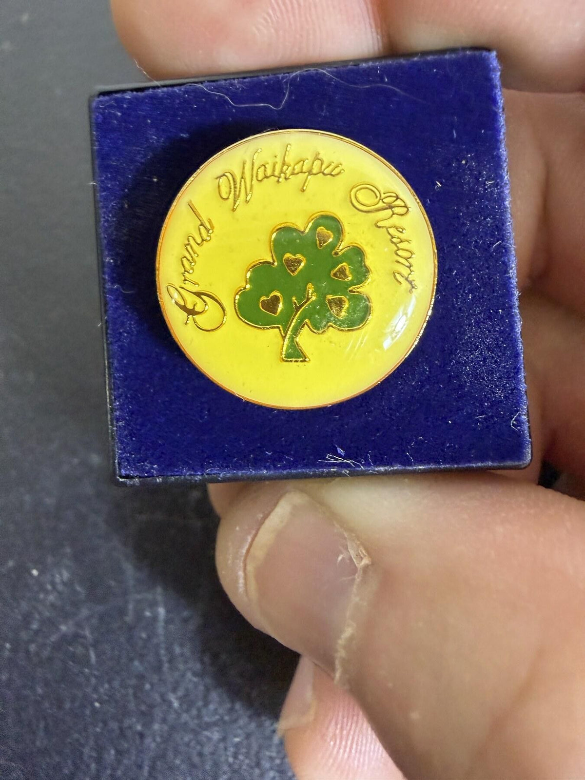 Grand Waikapu Resort Golf Ball Marker w/ Velvet Case - Wormhole Thrift