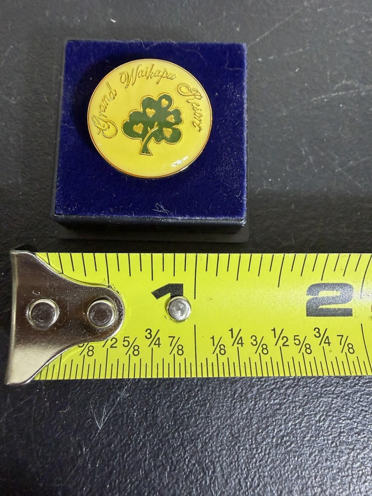 Grand Waikapu Resort Golf Ball Marker w/ Velvet Case - Wormhole Thrift