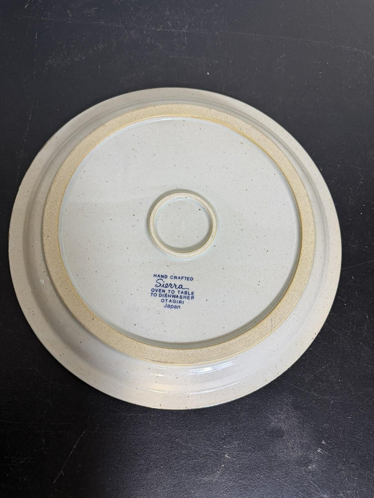 Vintage Otagiri Sierra Japan Hand Crafted Ceramic Dinner Plate 12in - Wormhole Thrift