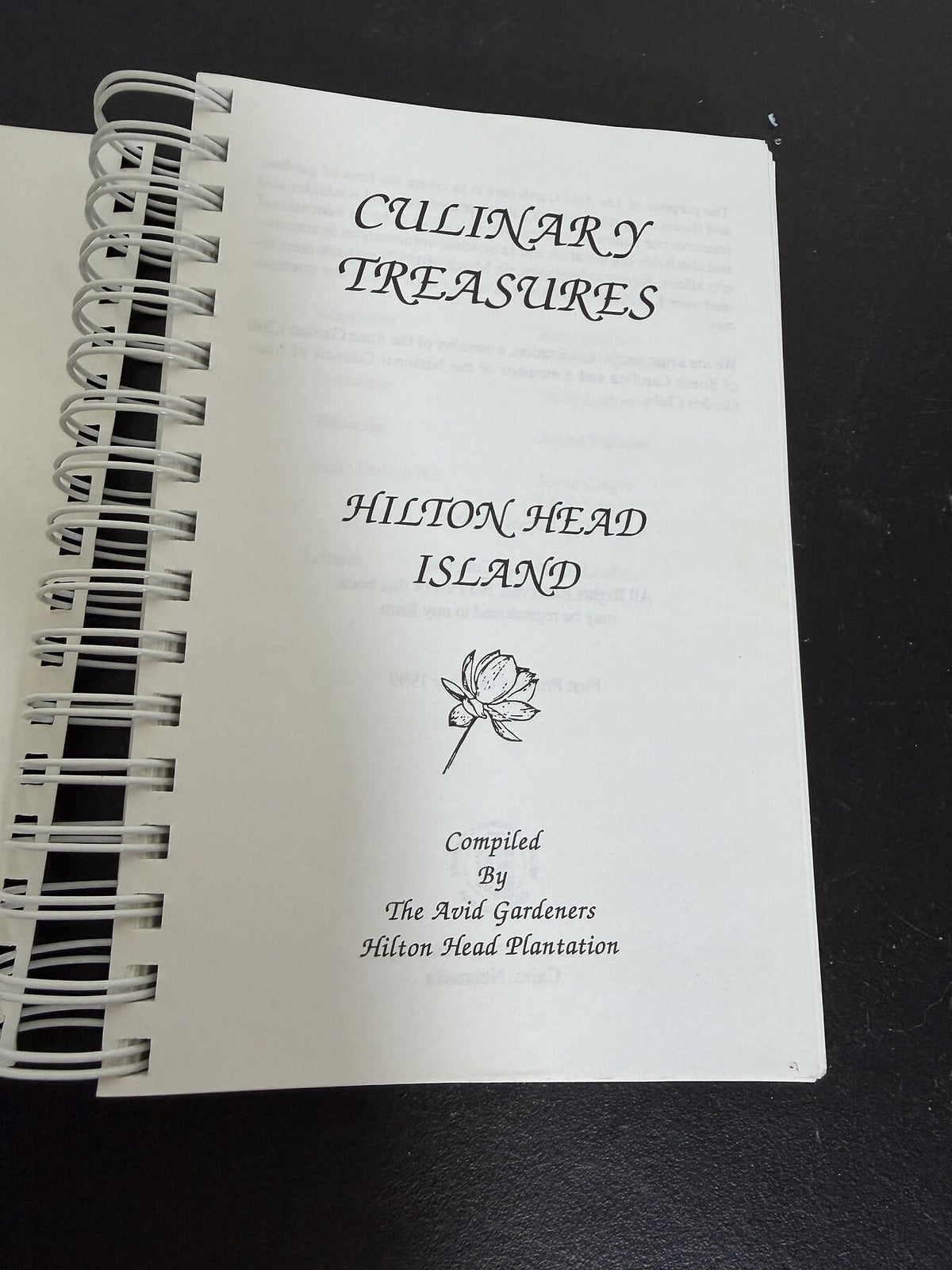 Culinary Treasures Hilton Head Island 1999 Spiral Cookbook - Wormhole Thrift