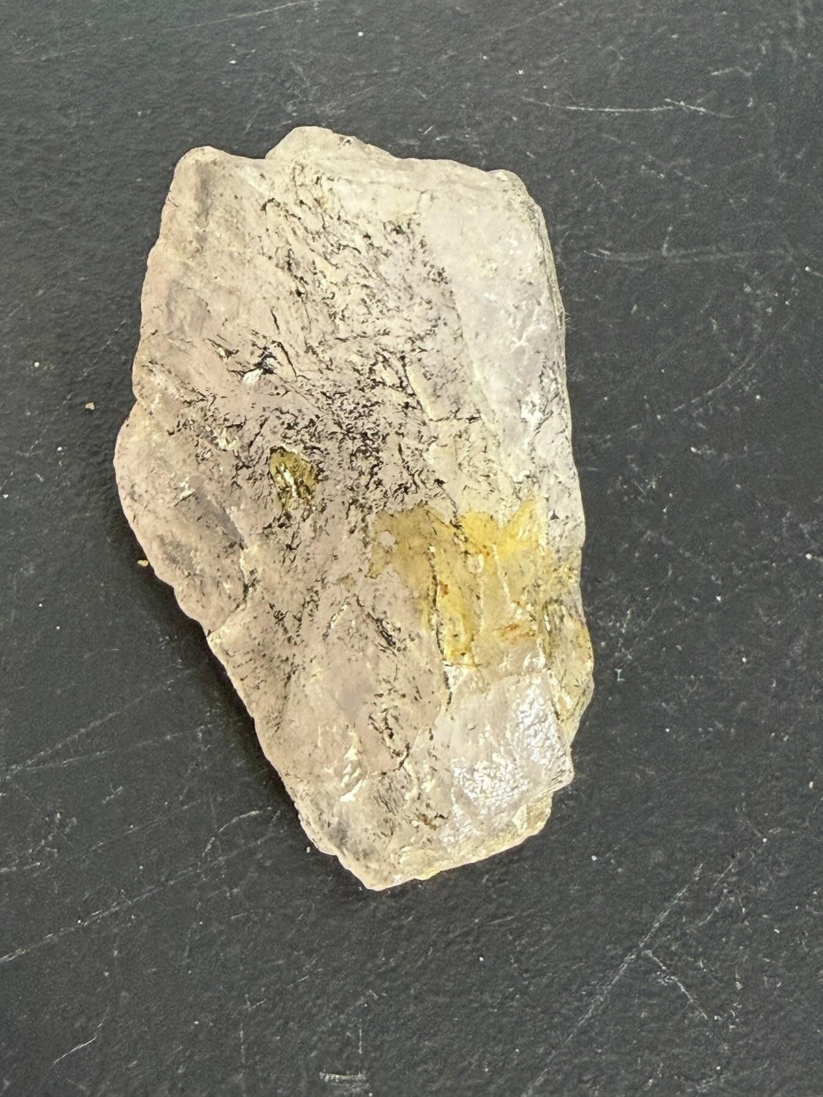 Natural Quartz Crystal Mineral Specimen Rough Stone - Wormhole Thrift