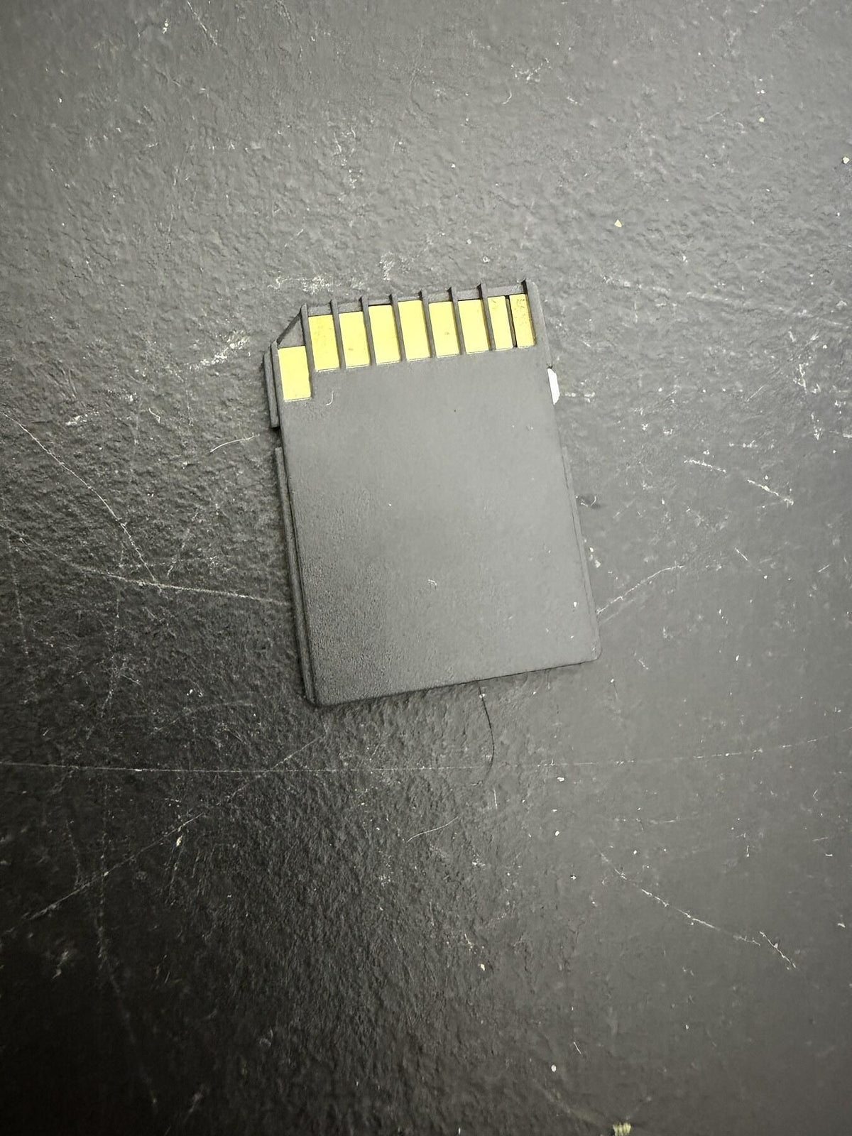 PNY Micro SD to SD Card Adapter - Black - Wormhole Thrift
