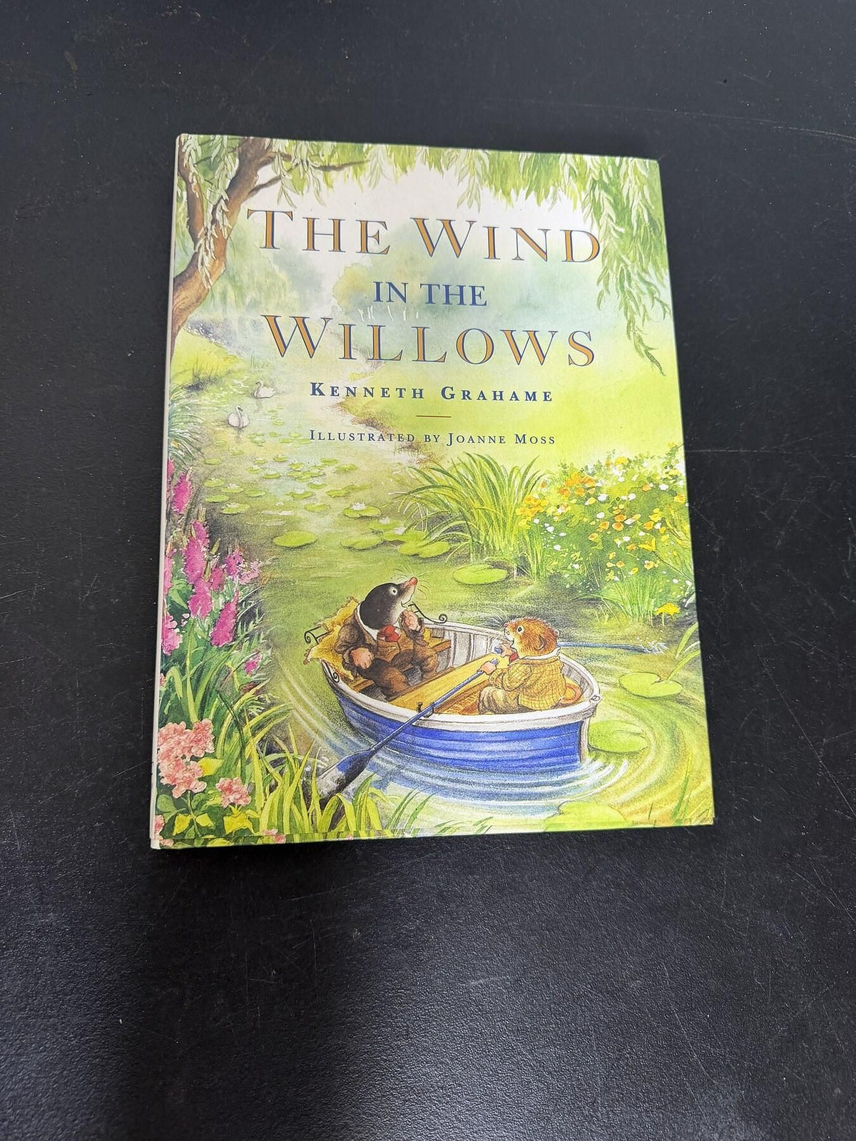 The Wind in the Willows by Kenneth Grahame, Illus. Joanne Moss (2000 Hardcover) - Wormhole Thrift
