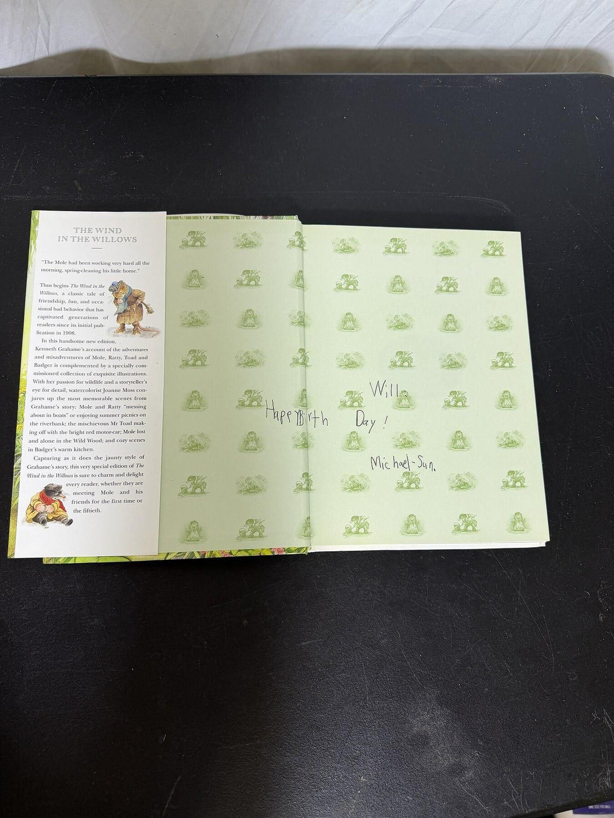 The Wind in the Willows by Kenneth Grahame, Illus. Joanne Moss (2000 Hardcover) - Wormhole Thrift