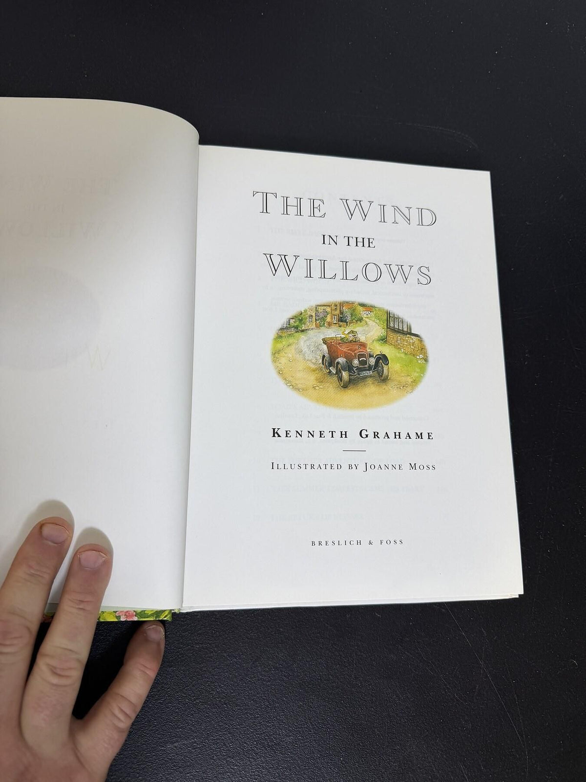 The Wind in the Willows by Kenneth Grahame, Illus. Joanne Moss (2000 Hardcover) - Wormhole Thrift
