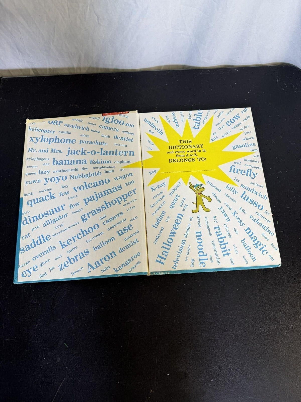 Vintage Dr. Seuss The Cat in the Hat Beginner Book Dictionary 1964 - Wormhole Thrift