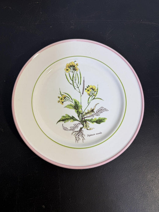 Vintage Primus Made in Italy Hand-Decorated Diplotaxis Muralis Botanical Plate 8" - Wormhole Thrift