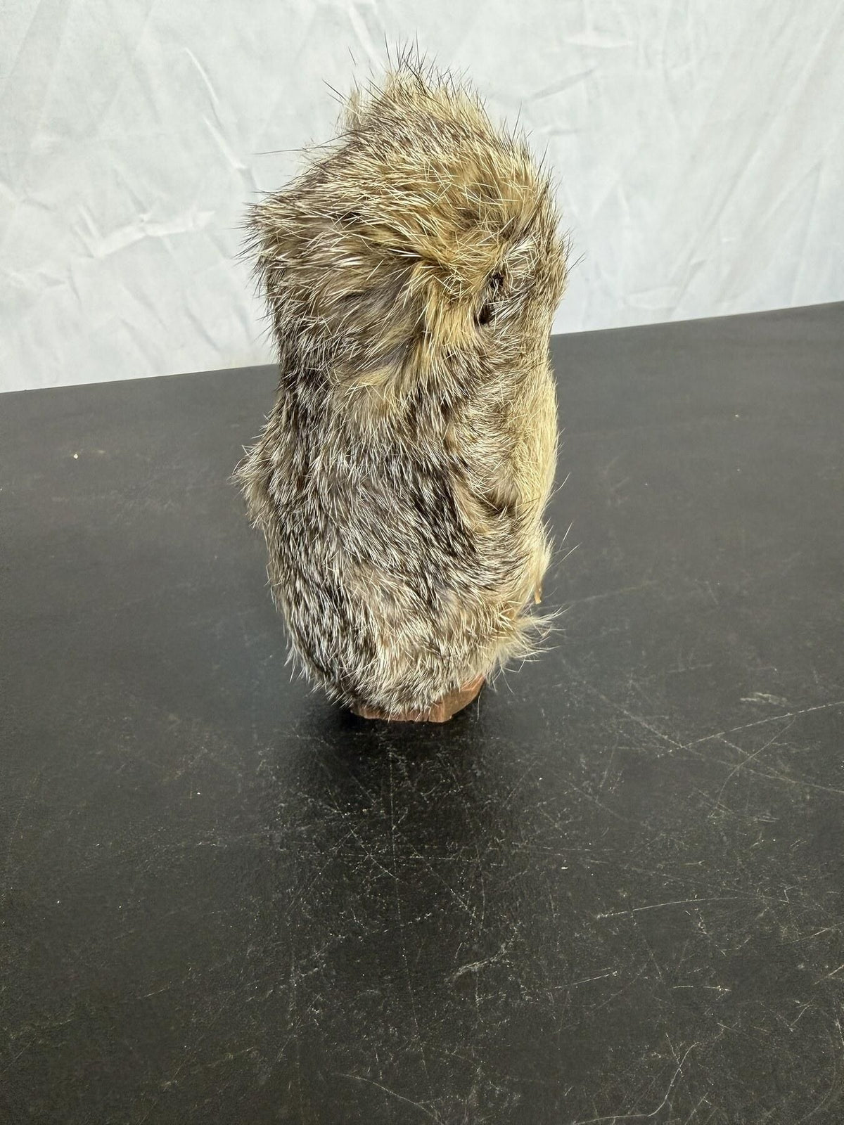 Vintage Inuit Eskimo Figurine Fur Parka Carved Wood Folk Art 5.5" - Wormhole Thrift