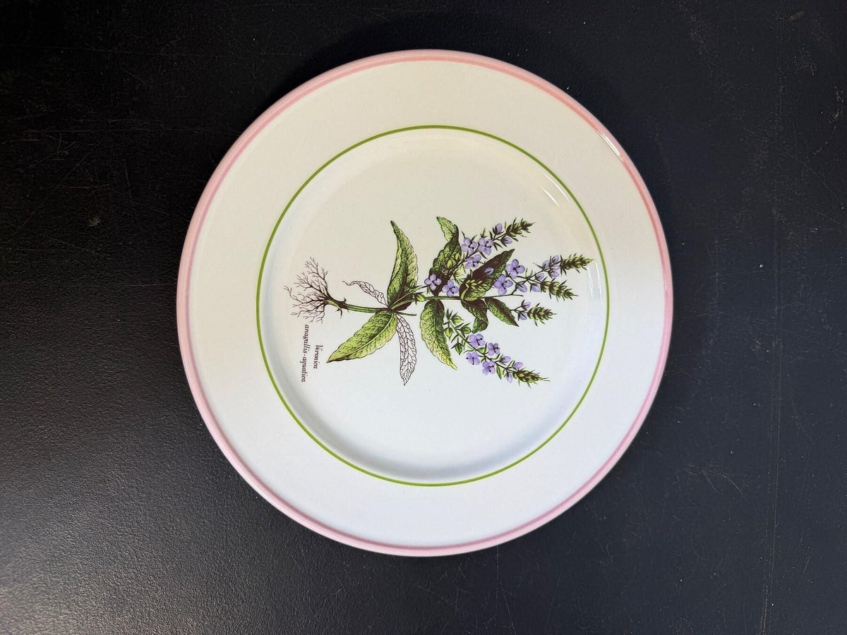 Vintage Primula Veronica Anagallis-Aquatica Botanical Plate 7.5" Italy - Wormhole Thrift