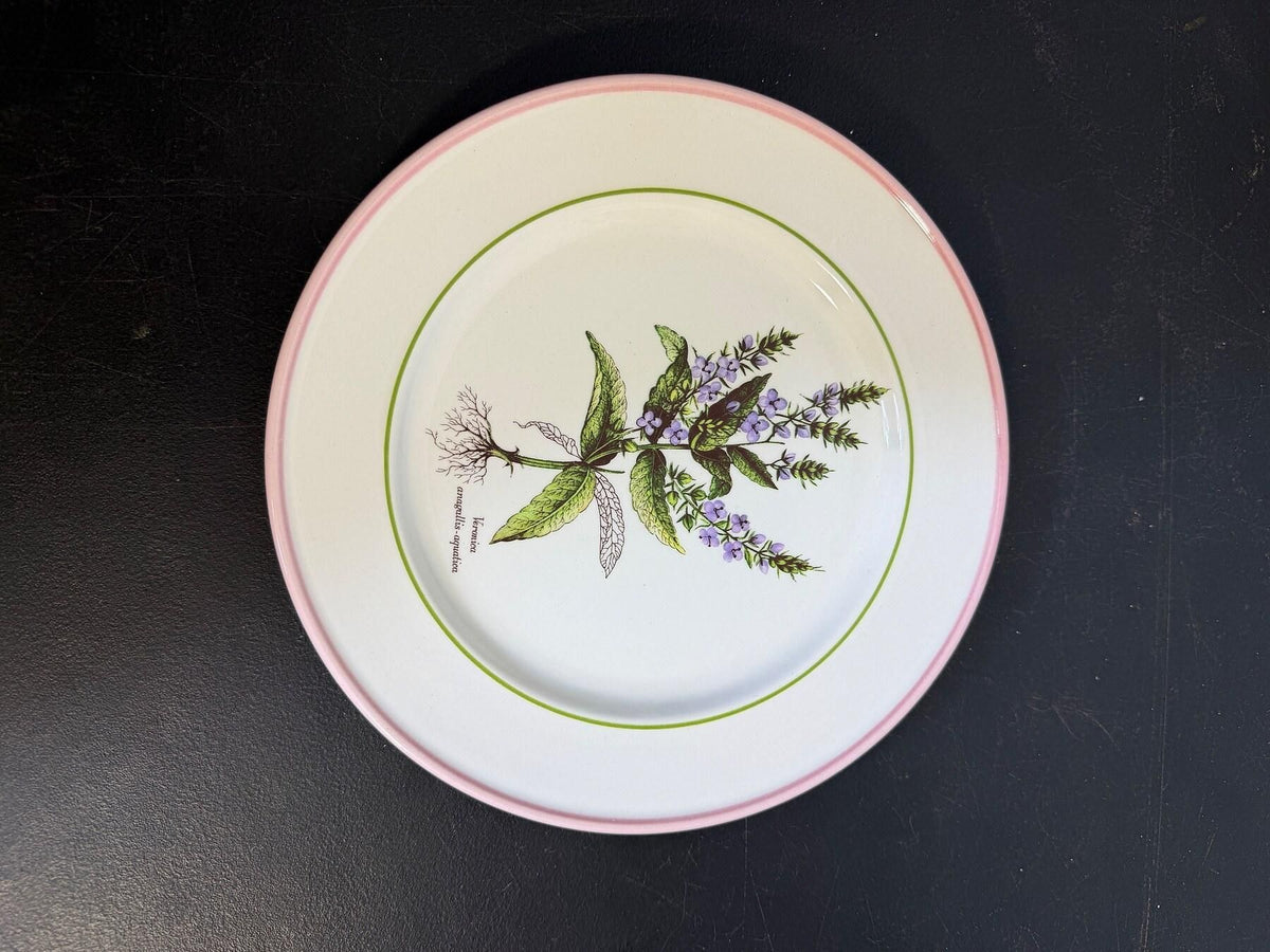 Vintage Primula Veronica Anagallis-Aquatica Botanical Plate 7.5" Italy - Wormhole Thrift
