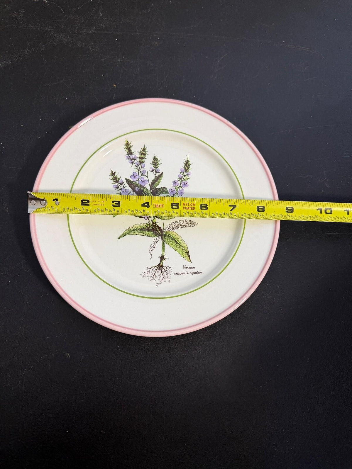 Vintage Primula Veronica Anagallis-Aquatica Botanical Plate 7.5" Italy - Wormhole Thrift