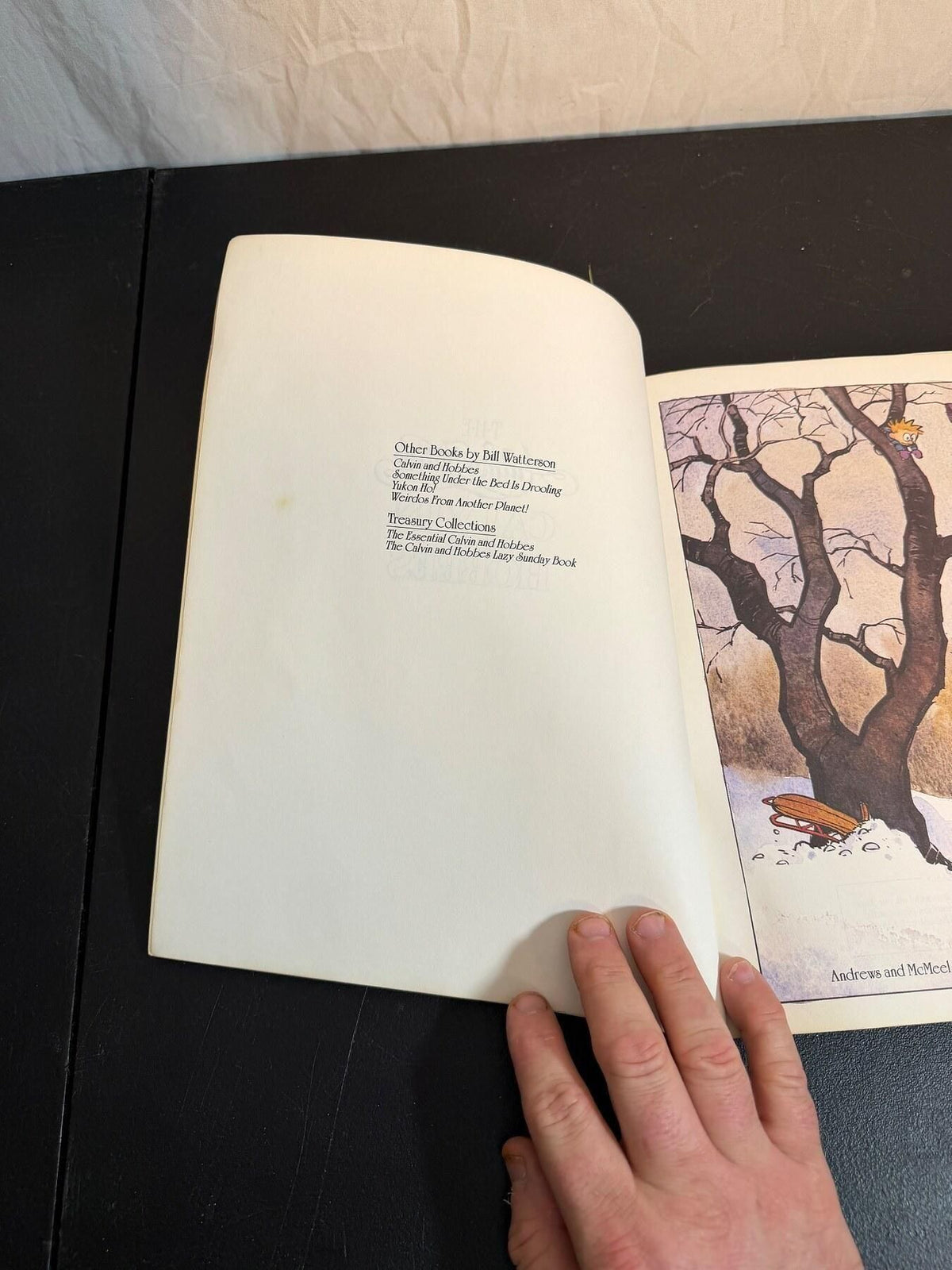 Vintage The Authoritative Calvin and Hobbes Treasury Bill Watterson 1990 - Wormhole Thrift