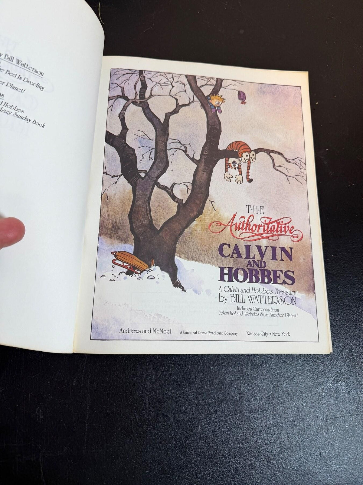 Vintage The Authoritative Calvin and Hobbes Treasury Bill Watterson 1990 - Wormhole Thrift