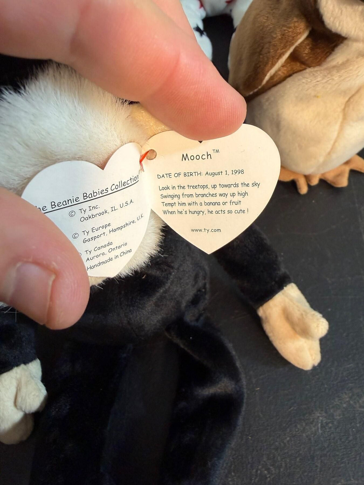 Vintage Ty Beanie Babies Lot of 6 Plush Toys - Mooch Wise Pouch Quackers - Wormhole Thrift